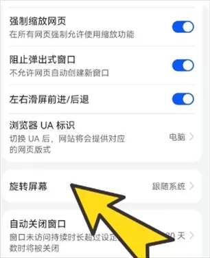 bobo浏览器无国界黑色版