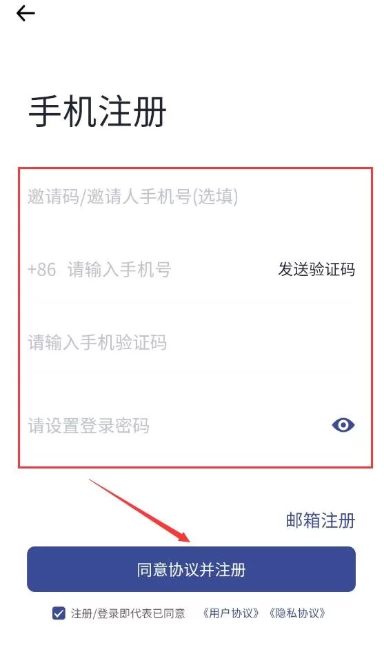 兔大师