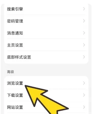 bobo浏览器无国界黑色版
