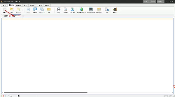 Text Editor Pro