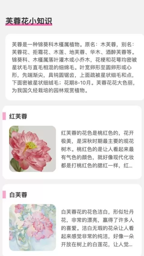 芙蓉乐刷