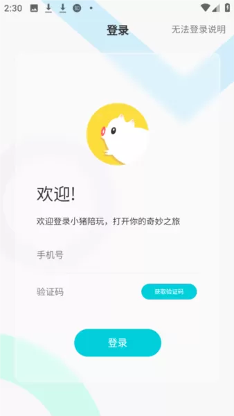 小猪陪玩