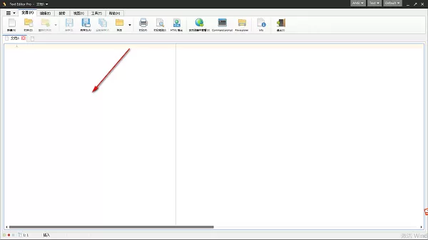 Text Editor Pro