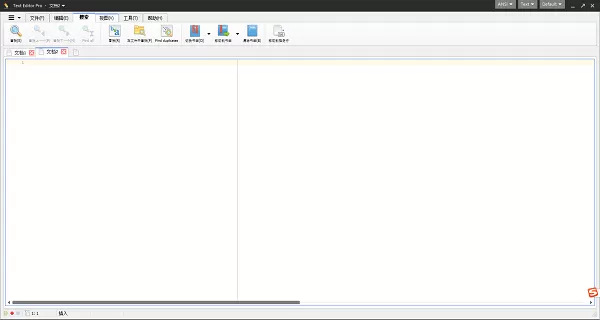 Text Editor Pro