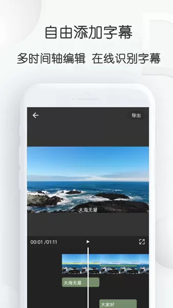视频加字幕大师