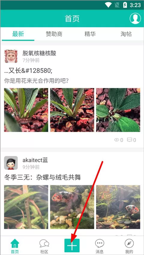 南美水族论坛