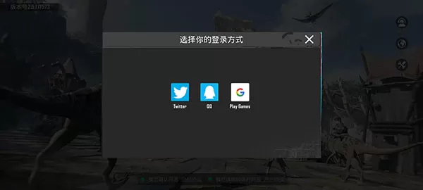 和平精英国际版轻量版