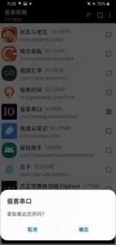 极客卸载专业版