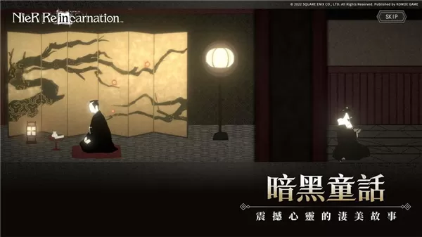 尼尔康乃馨国际服