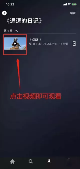 迪士尼流媒体