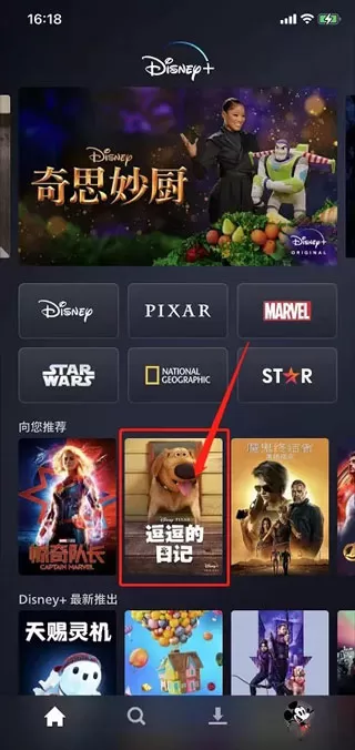 迪士尼流媒体