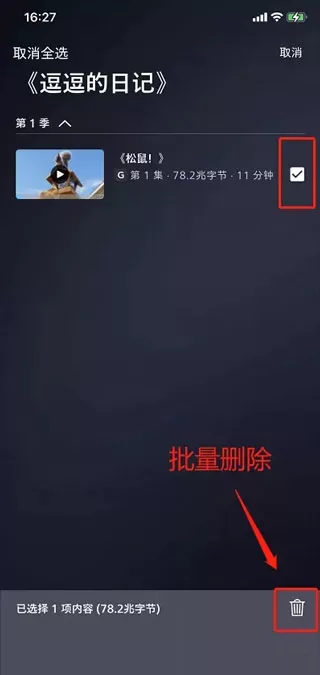 迪士尼流媒体