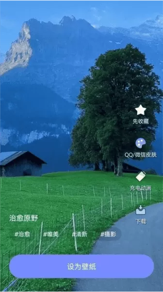 天天桌面壁纸