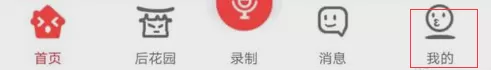 很皮语音包