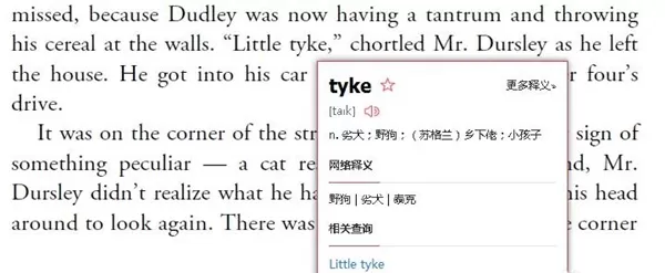网易有道翻译
