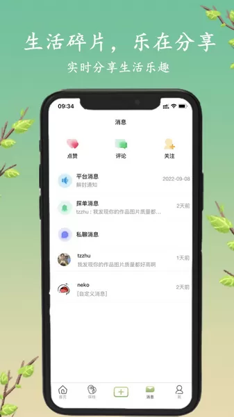 探枝