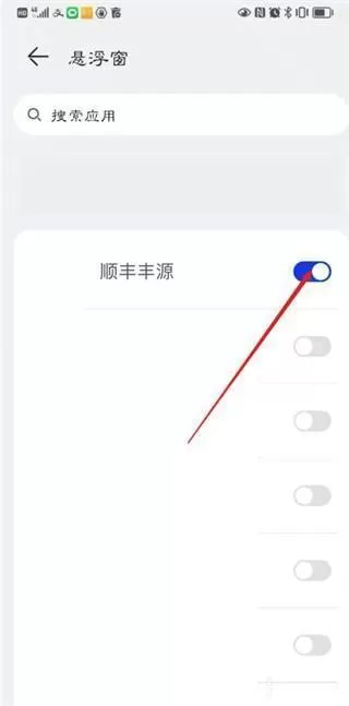 顺丰小哥大陆版