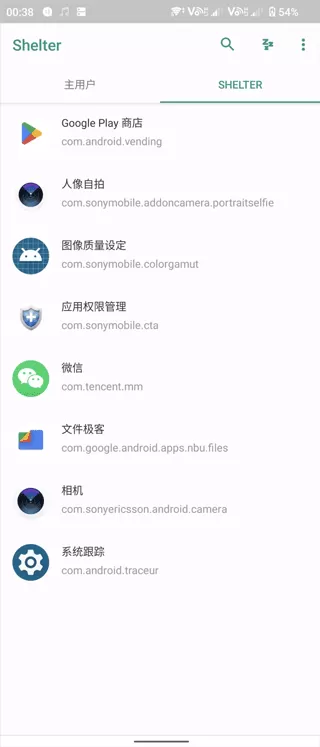 shelter中文版