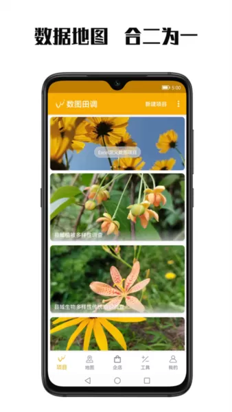 数图