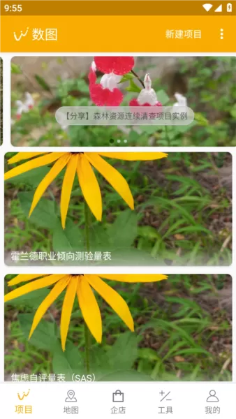 数图