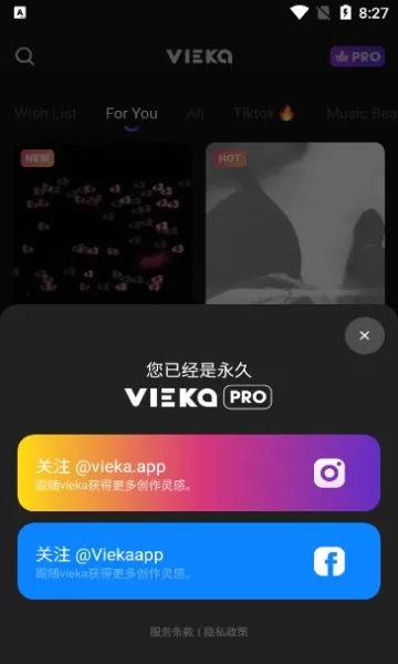 Vieka高级解锁版