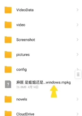 壁纸引擎麻匪