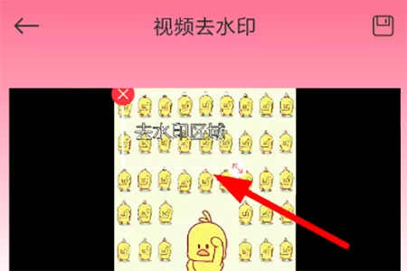 去水印秀