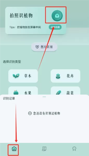 小黄养花