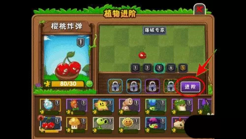 植物大战僵尸2全5阶植物