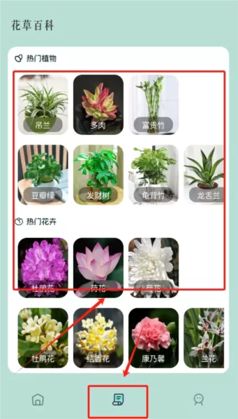 小黄养花