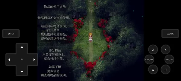 魔女之家重制版模拟器