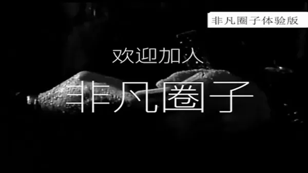 西红柿2024TV