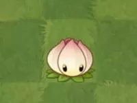 植物大战僵尸2官方正版