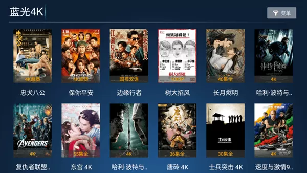 新诚影院TV版