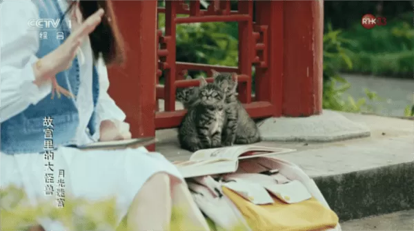拾光影仓电视软件