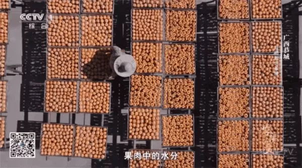 清风TV最新版本