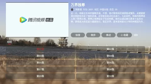 智字影视