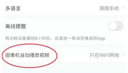 小鹰看看