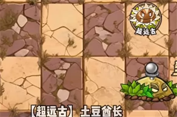 植物大战僵尸神奇植物版