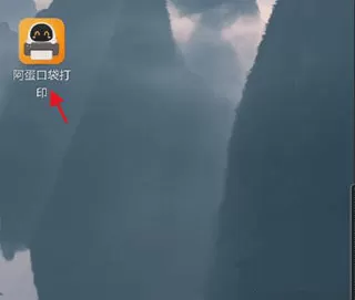 阿蛋口袋打印