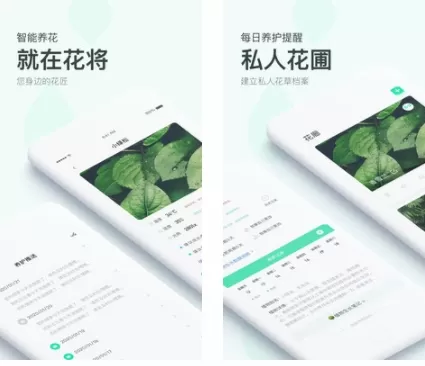 花将