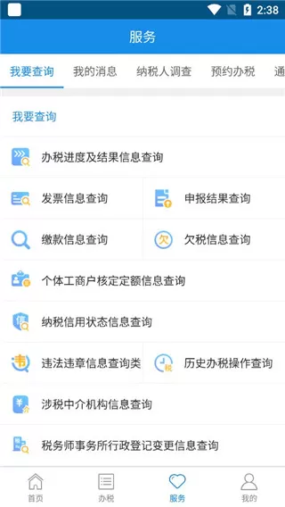 新疆税务安卓版