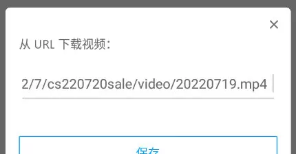 RealPlayer