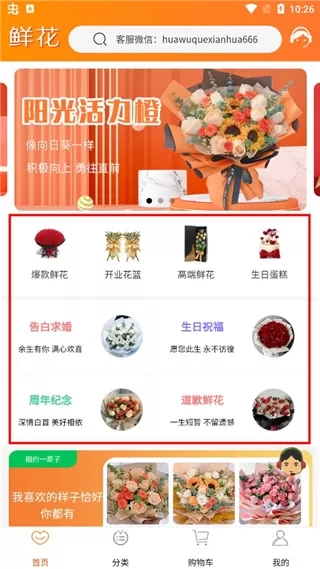 花勿缺鲜花