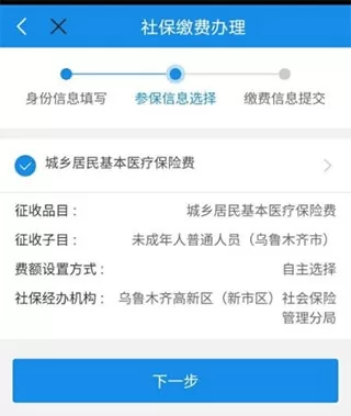 新疆税务安卓版