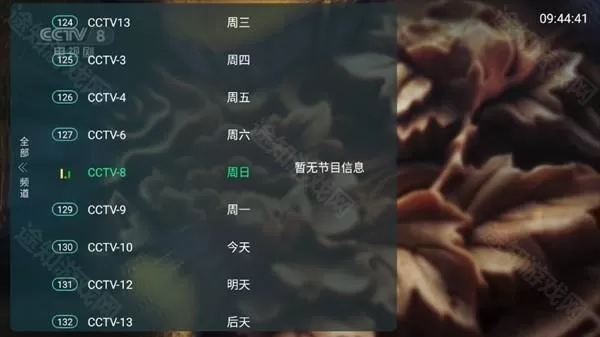 全球直播TV电视版最新版