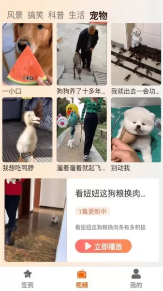 塔奇剧场影视