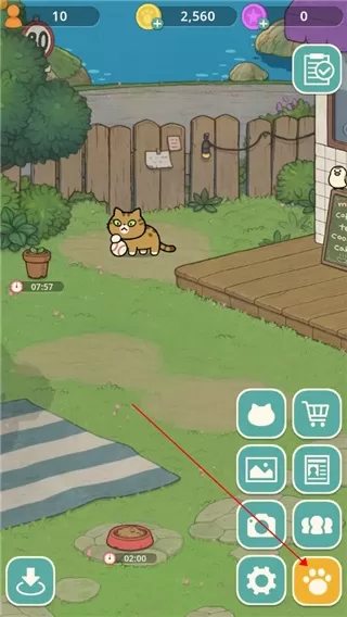 神秘猫咪字典手机版