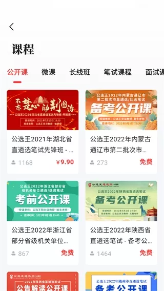 公选王
