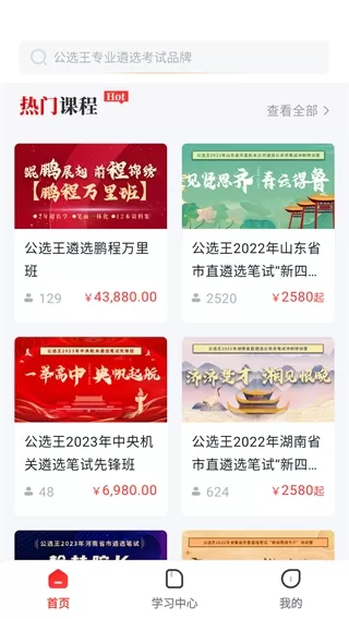 公选王